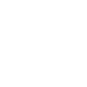 EMMI logo