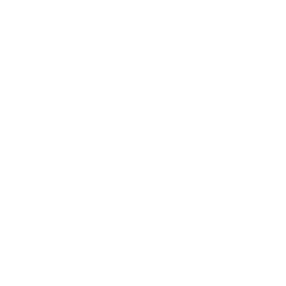Frontira-logo-light 1